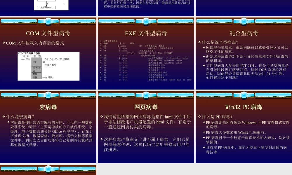 计算机病毒分析.ppt