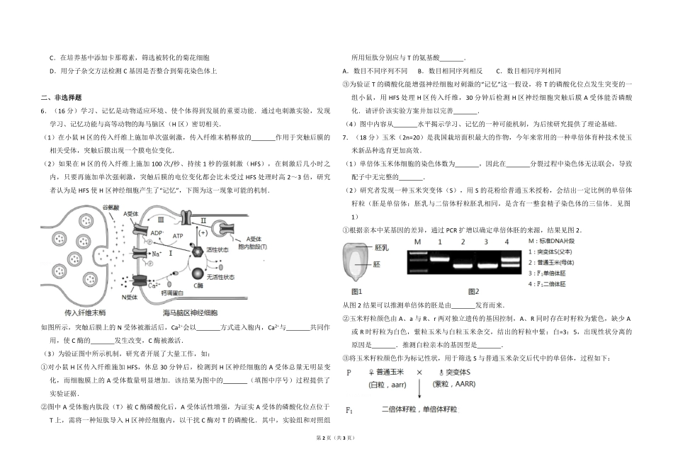 2017年北京市高考生物试卷（原卷版）(1).pdf_第2页