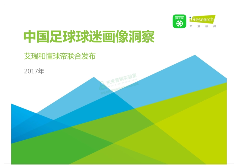 2017年中国足球球迷画像洞察.pdf_第1页