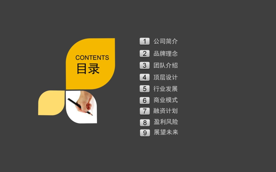 2017米狗-智慧车生活全球连锁社群+视频互动大数据平台商业计划书【最终版】.pdf_第3页