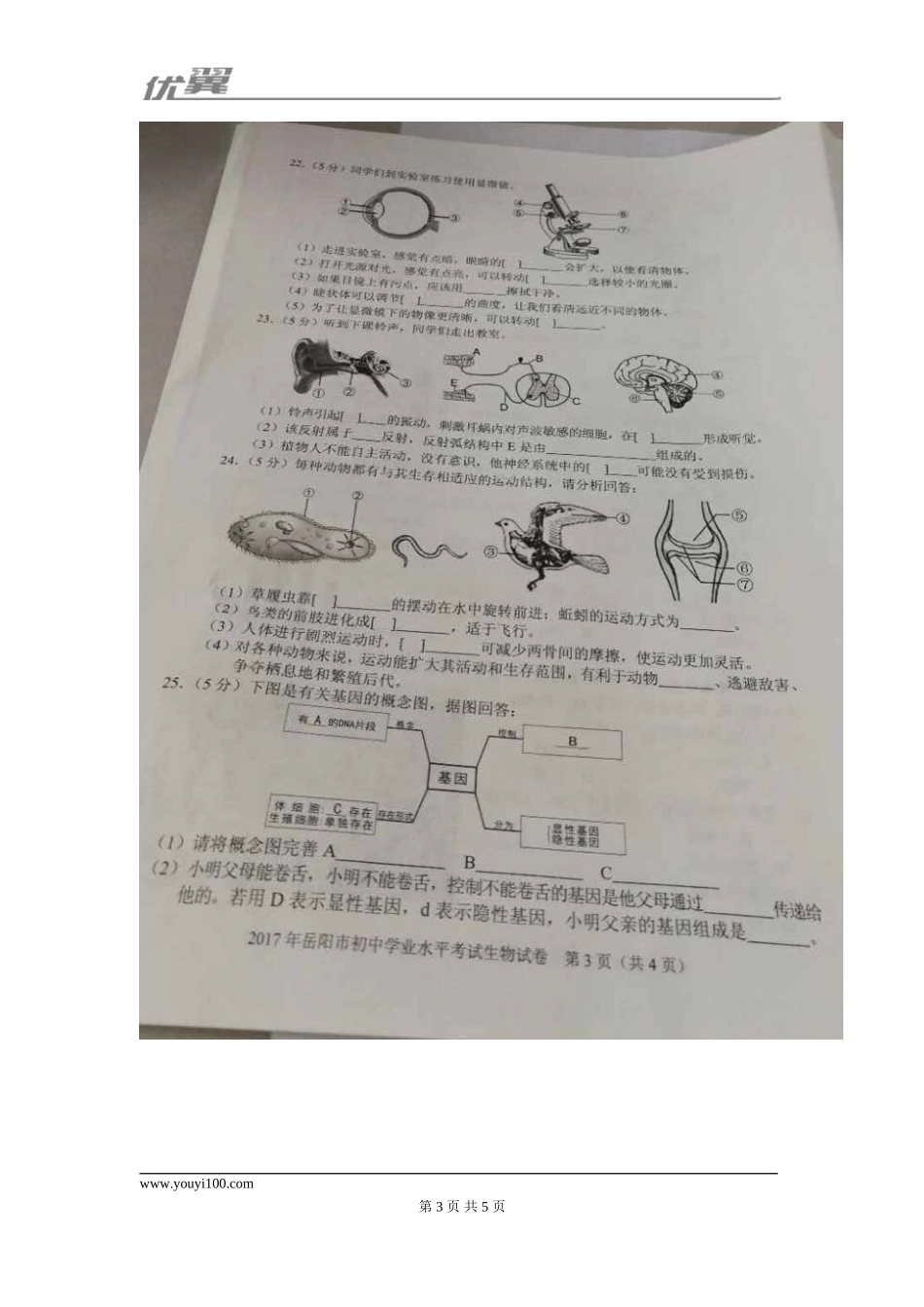 2017湖南岳阳生物中考试卷.doc_第3页