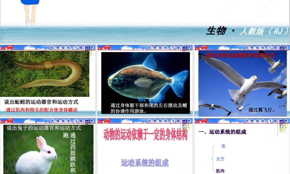 1.第一节动物的运动【备份1】.ppt