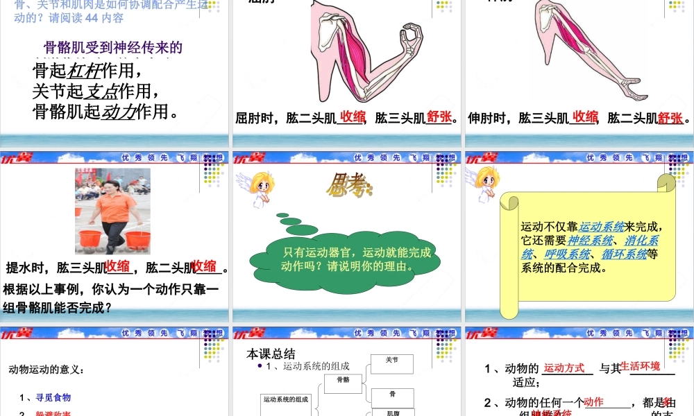 1.第一节动物的运动【备份1】.ppt