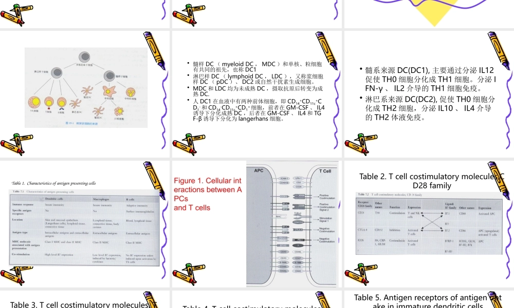 DC细胞(1).ppt