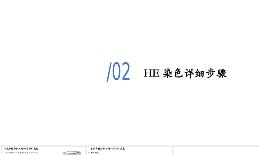 HE染色更多医学好课请加微信782878241.pptx