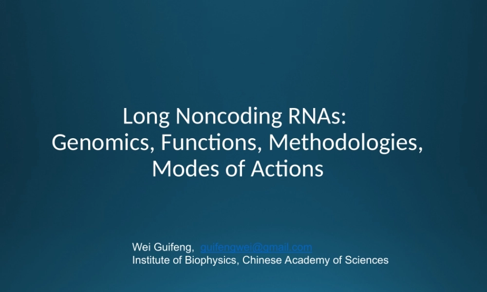 Long Noncoding RNAs 1st(1).ppt