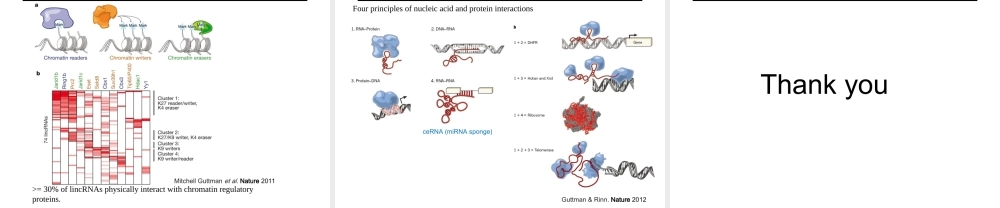 Long Noncoding RNAs 1st(1).ppt