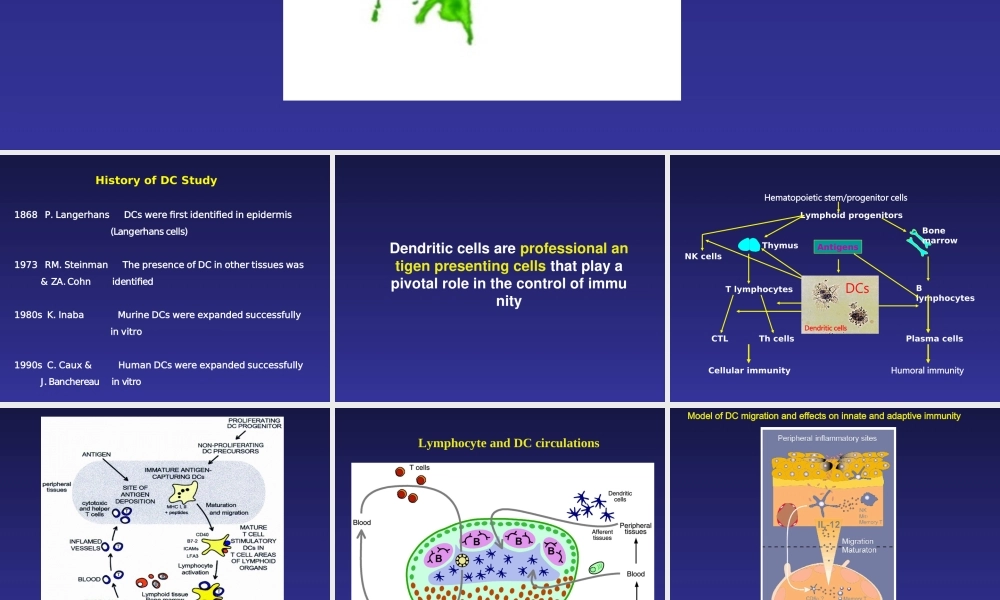 Immunobiology of DC(1).PPT