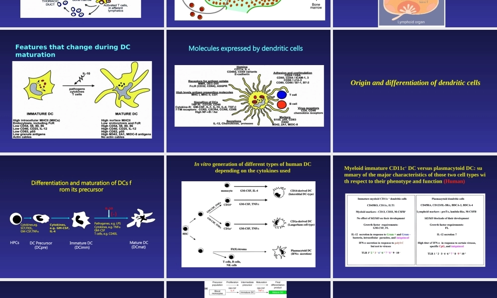 Immunobiology of DC(1).PPT