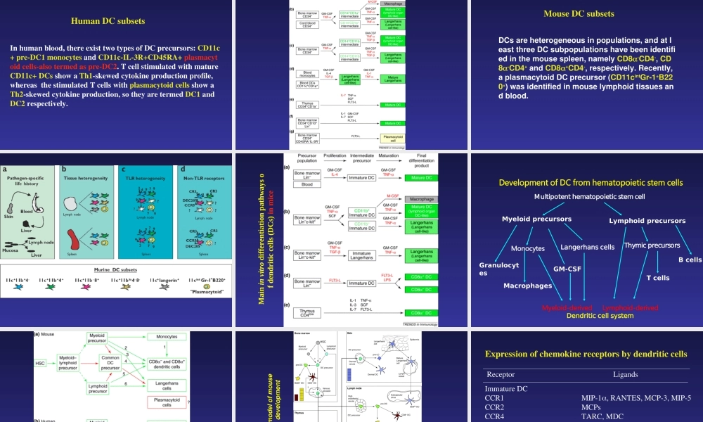 Immunobiology of DC(1).PPT