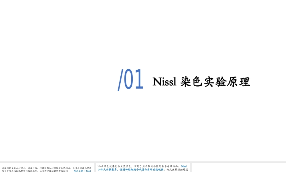 Nissl染色更多医学好课请加微信782878241.pptx
