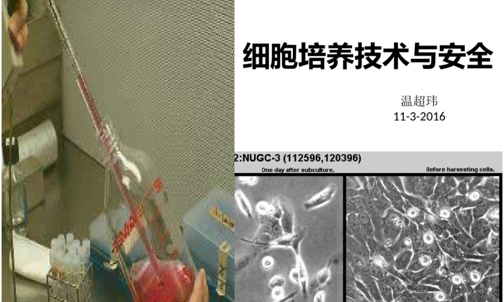 171109 细胞(1).pptx