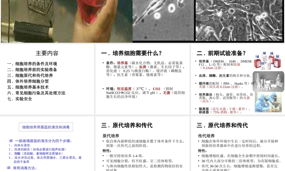 171109 细胞(1).pptx