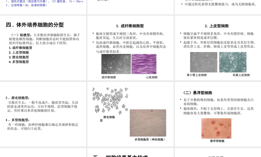 171109 细胞(1).pptx