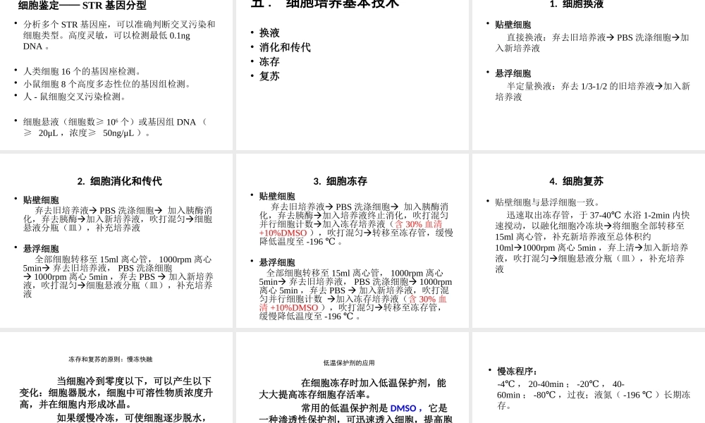 171109 细胞(1).pptx