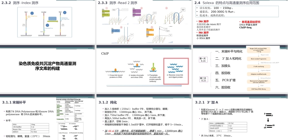 Library Construction（14年FIST）by-Dong【公众微信号：bioworlde】.pptx