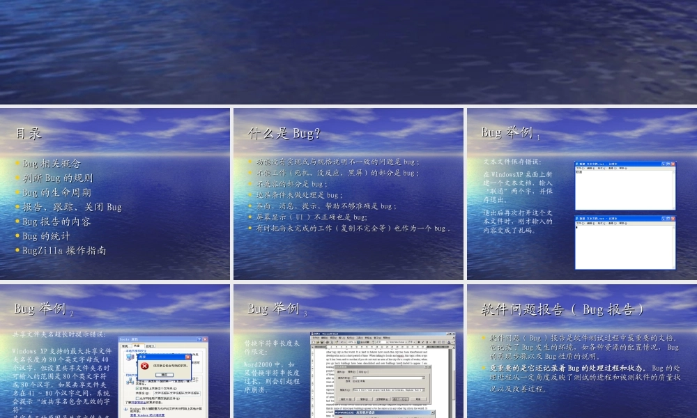 BUG描述及缺陷管理工具培训.ppt