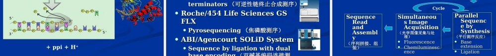 D5上午-周晓光-第二代测序技术(1).ppt