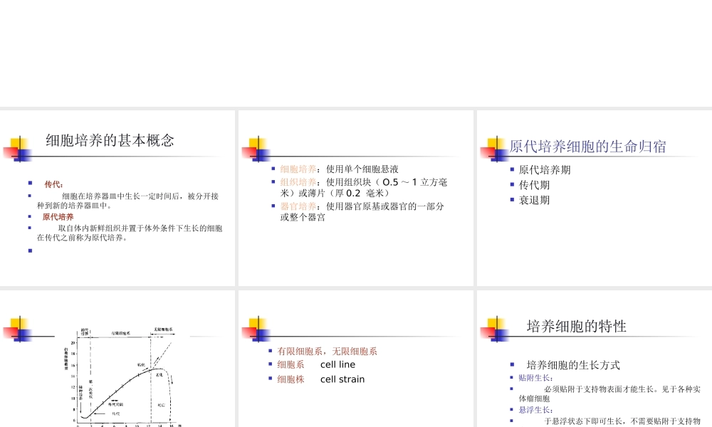 Cell+培养技术(1).ppt