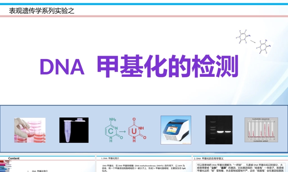 DNA甲基化实验课件【公众微信号：bioworlde】.pptx
