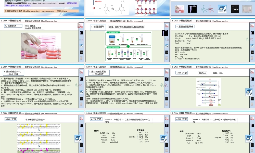 DNA甲基化实验课件【公众微信号：bioworlde】.pptx