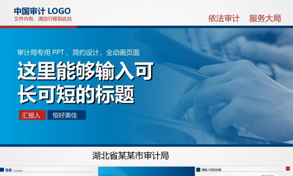 P06审计报告审查监察统计调查PPT(1).ppt