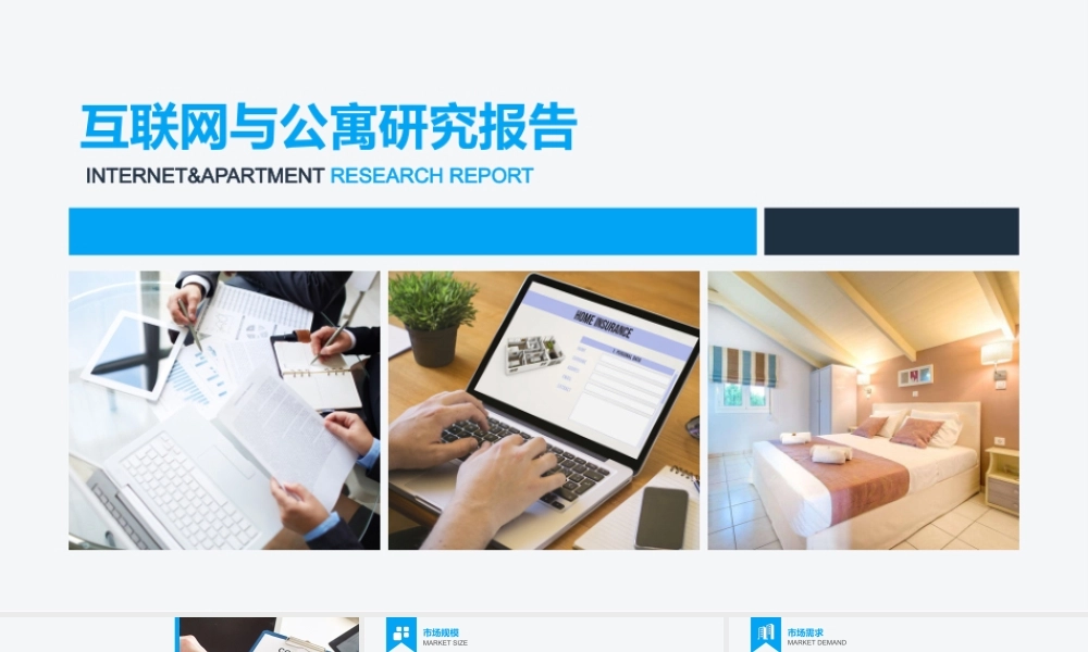 P06研究报告市场调研通用商务互联网（静态）.pptx