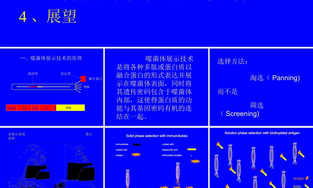 phage display[bioworlde.com.ppt