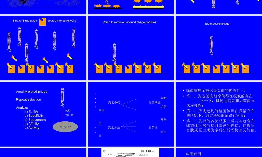 phage display[bioworlde.com.ppt