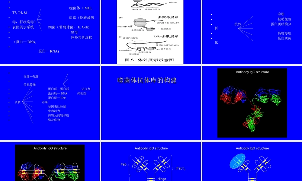 phage display[bioworlde.com.ppt