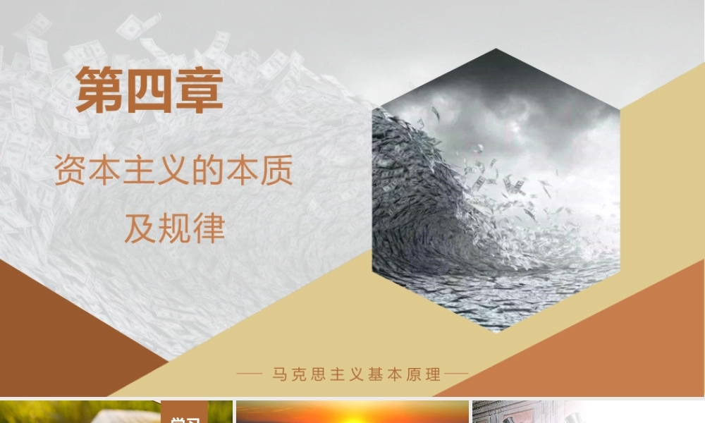 第四章资本主义的本质及规律.ppt