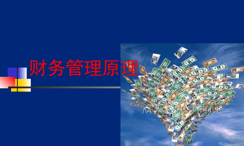 财务管理原理（全）.ppt