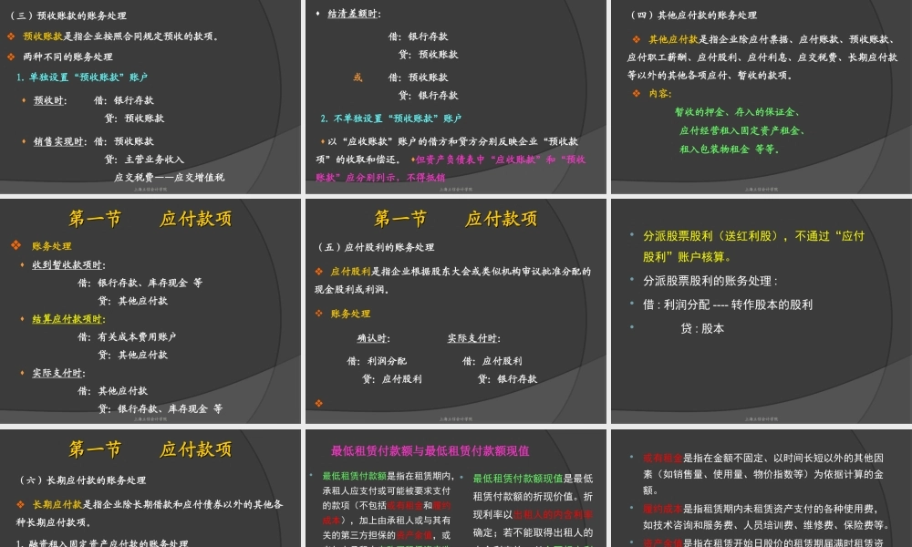 第十章应付及应交款项.ppt