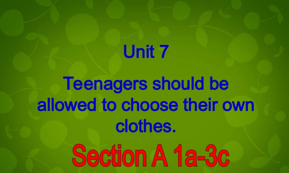 河北省东光县第二中学九年级英语全册 Unit 7 Teenagers should be allowed to choose their own clothes课件.ppt