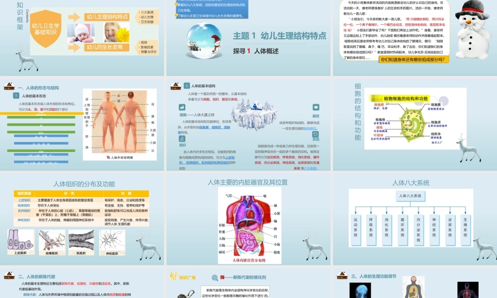 主题1幼儿生理结构特(1).pptx