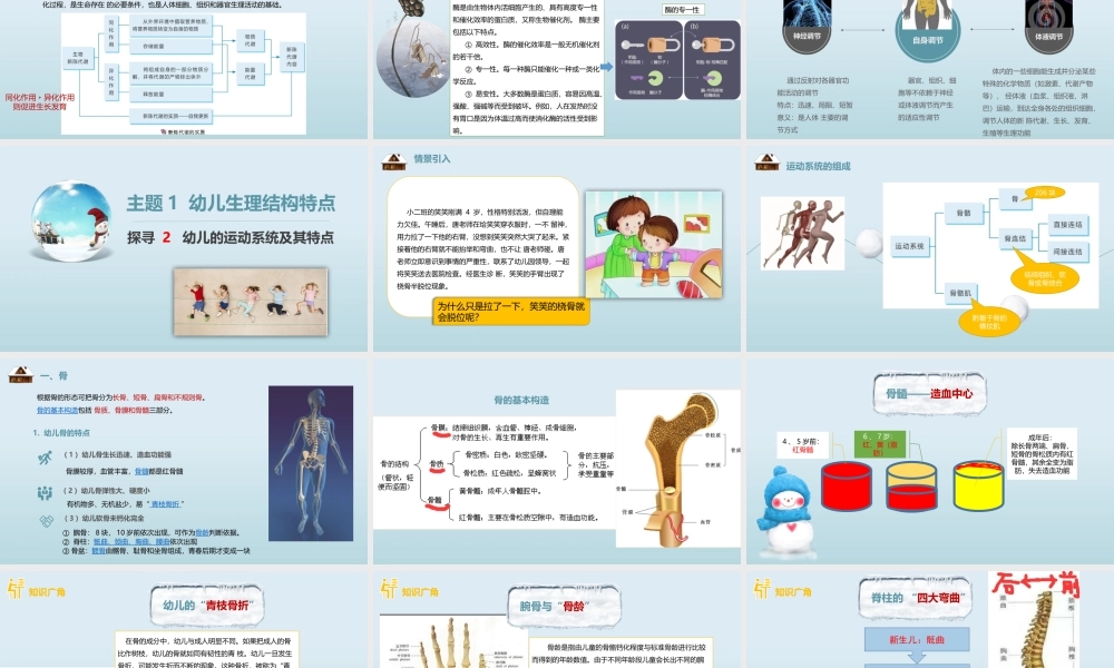 主题1幼儿生理结构特(1).pptx