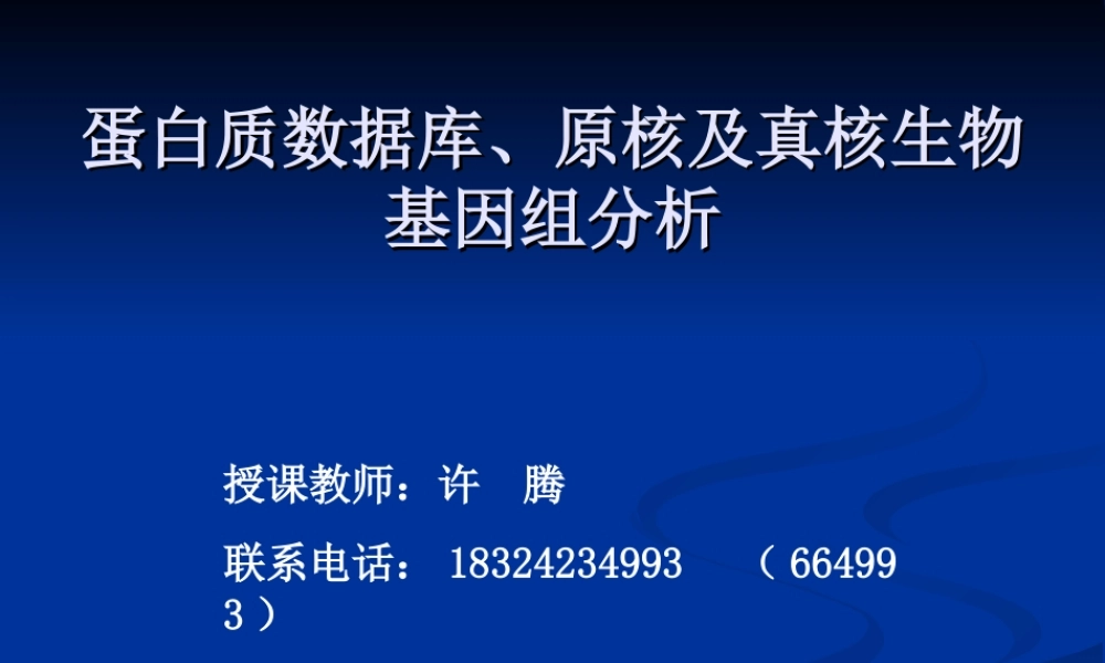 蛋白质数据库(1).ppt