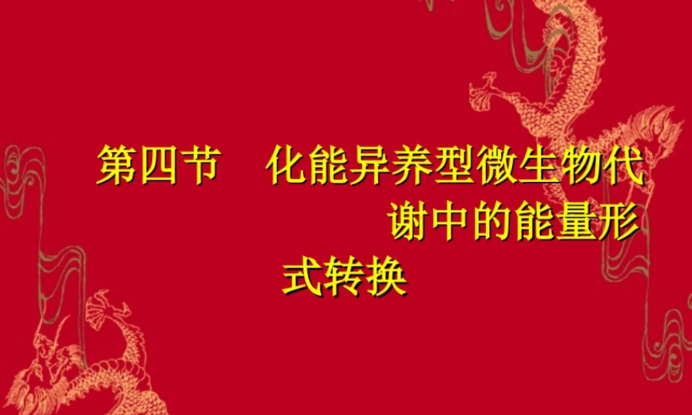 2.第二章 发酵学第一假说（3）.ppt