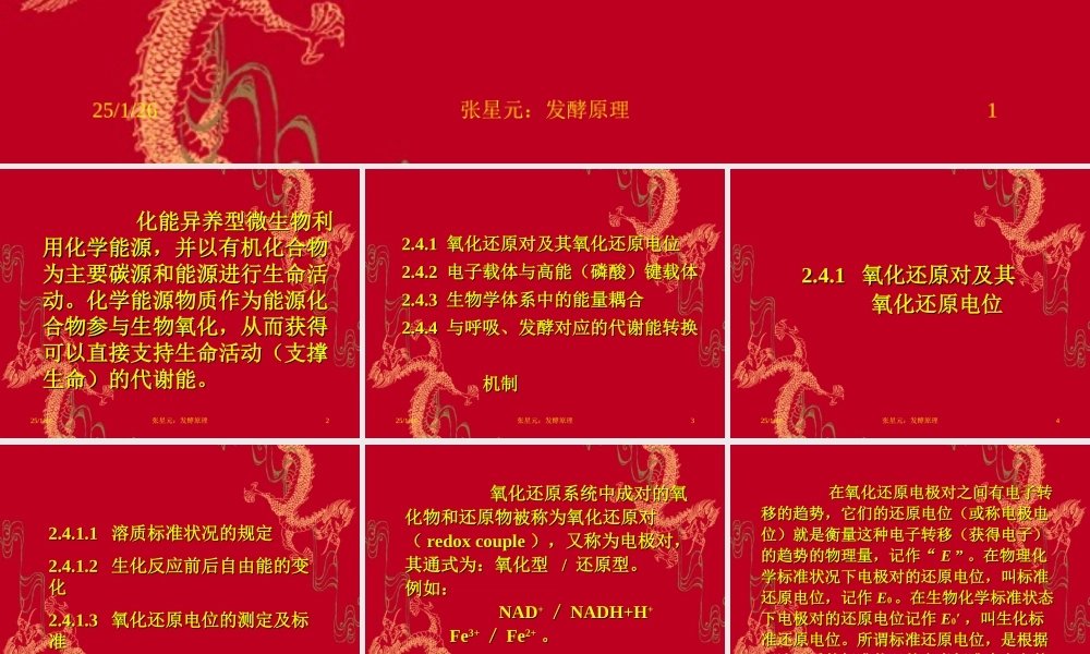 2.第二章 发酵学第一假说（3）.ppt