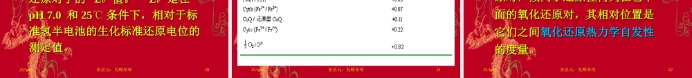 2.第二章 发酵学第一假说（3）.ppt