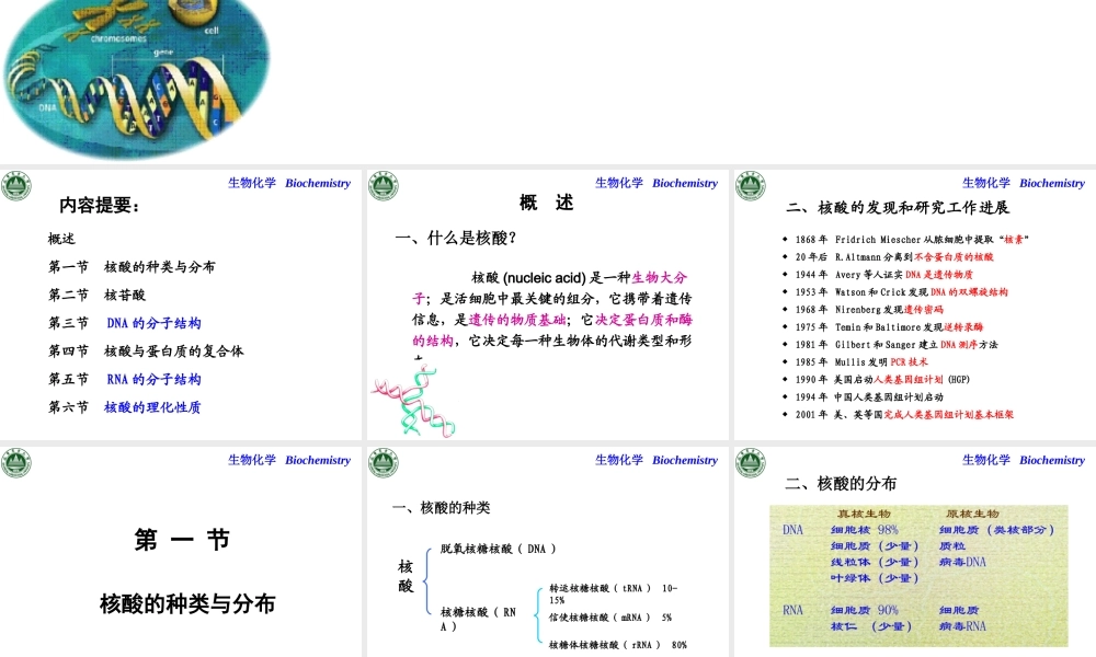Chapter 2 核酸的结构与功能.ppt