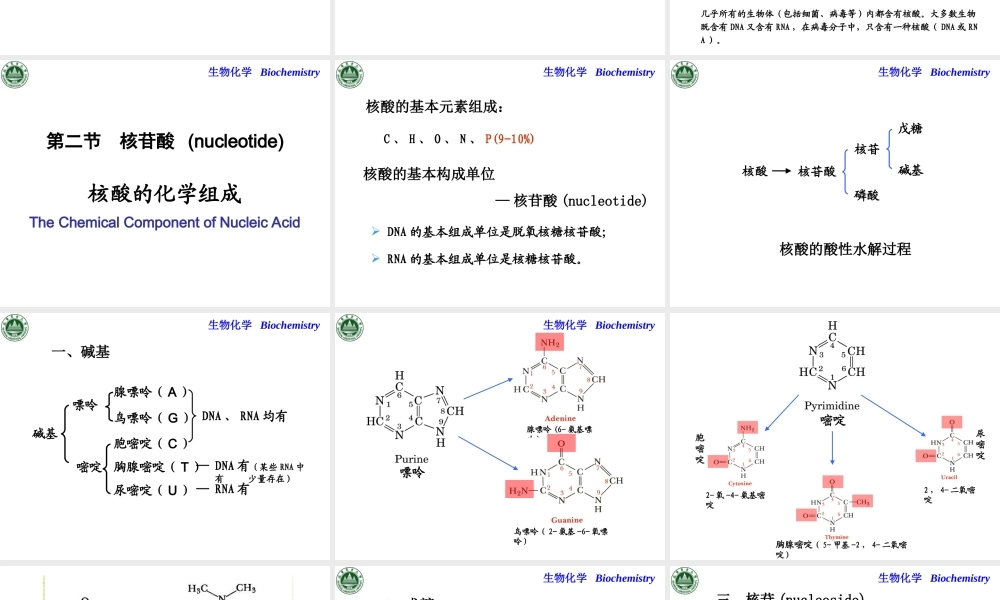 Chapter 2 核酸的结构与功能.ppt