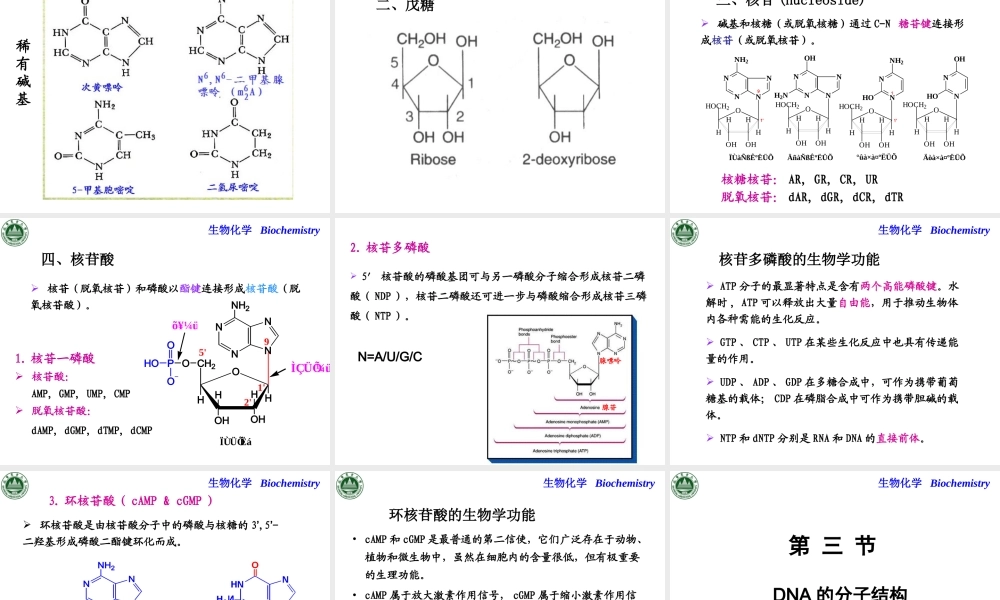 Chapter 2 核酸的结构与功能.ppt