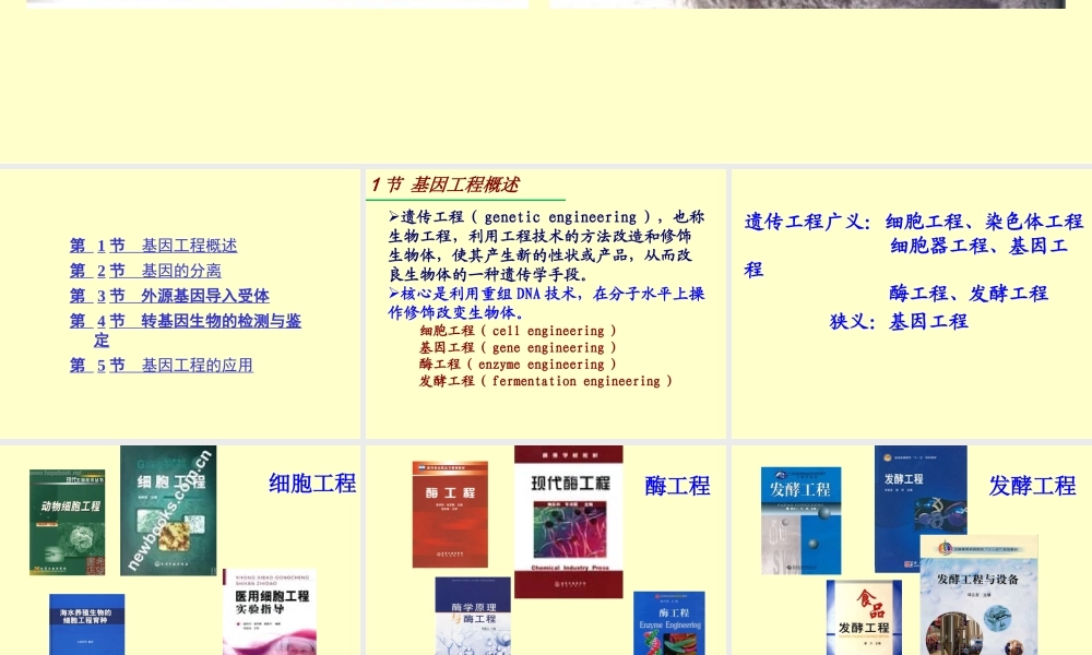 第12章缩略 基因工程2013.ppt