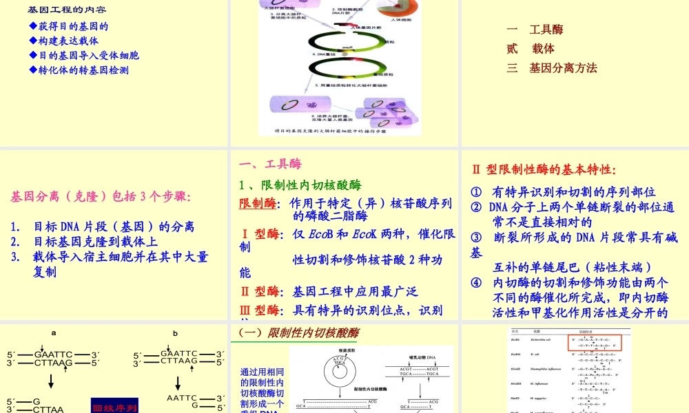 第12章缩略 基因工程2013.ppt