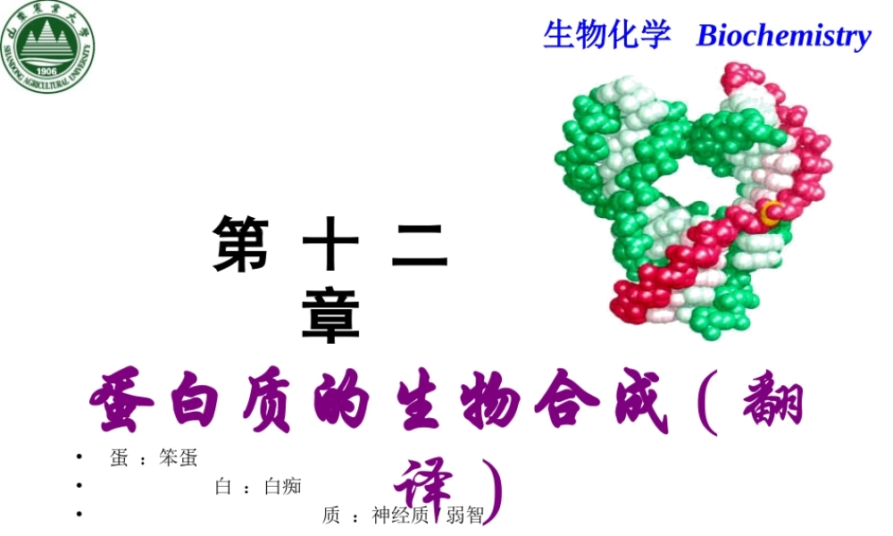 第十章 蛋白质生物合成.ppt