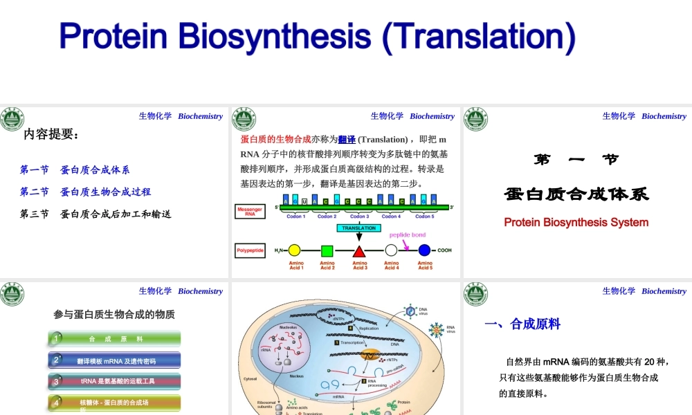 第十章 蛋白质生物合成.ppt