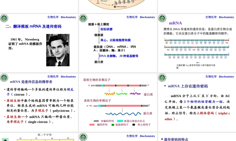 第十章 蛋白质生物合成.ppt