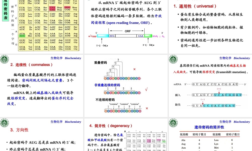 第十章 蛋白质生物合成.ppt