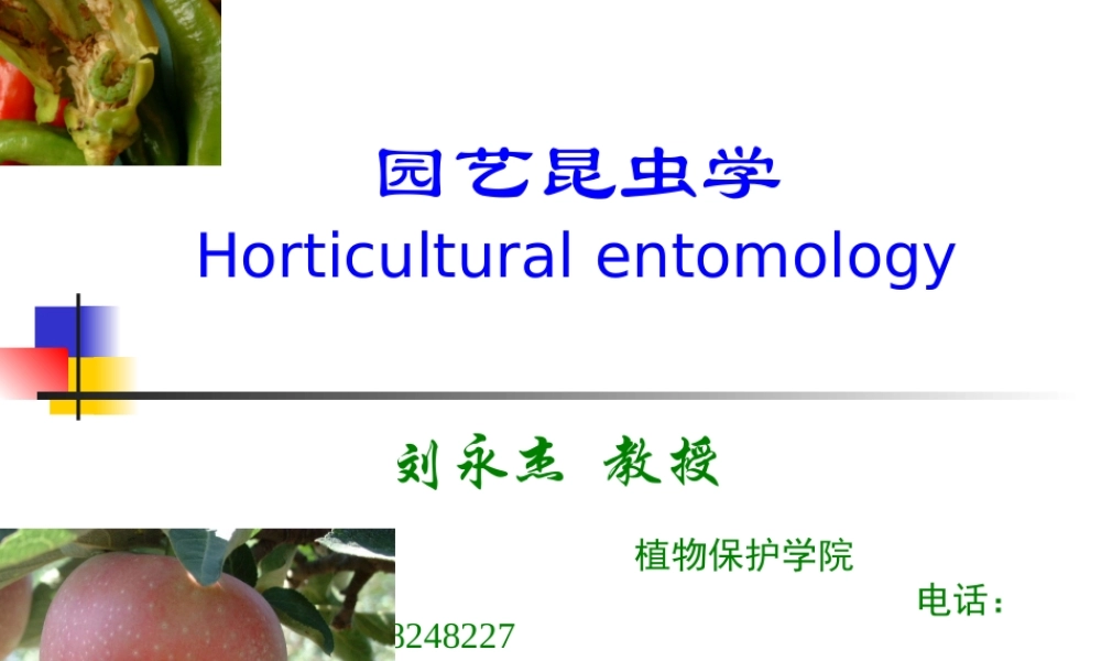 园艺昆虫学（昆虫学通论）-2014.8.ppt